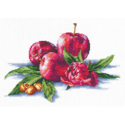 Äpfel und Haselnüsse SANYA-03