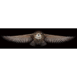 Owl SANS-44