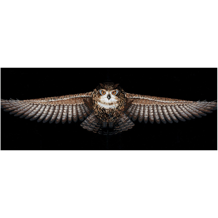 Owl SANS-46