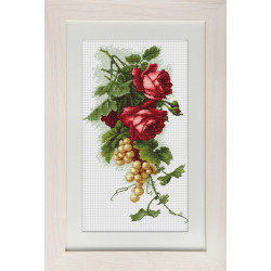 Red roses and grapes SB2229