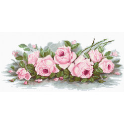 Romantiškos rožės SBA2353