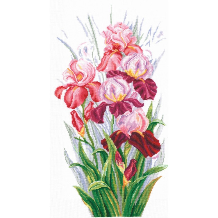 Triumph Of Irises SANT-14