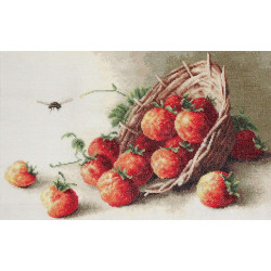 Basket of strawberries SG497