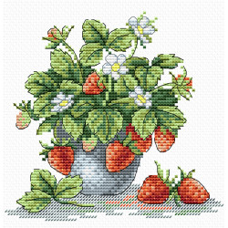 Tasty Strawberry SM-066