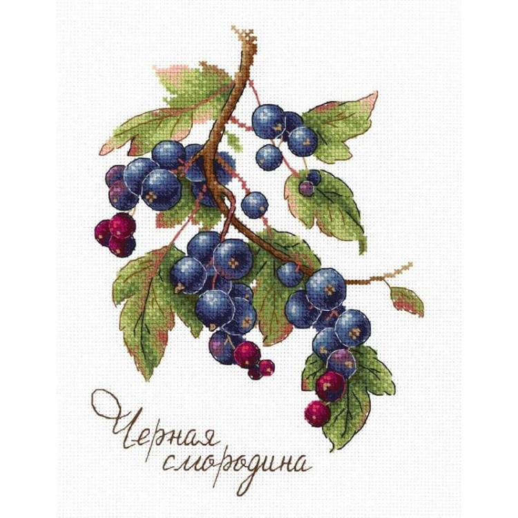 Gifts of Nature. Black Currant SNV-694