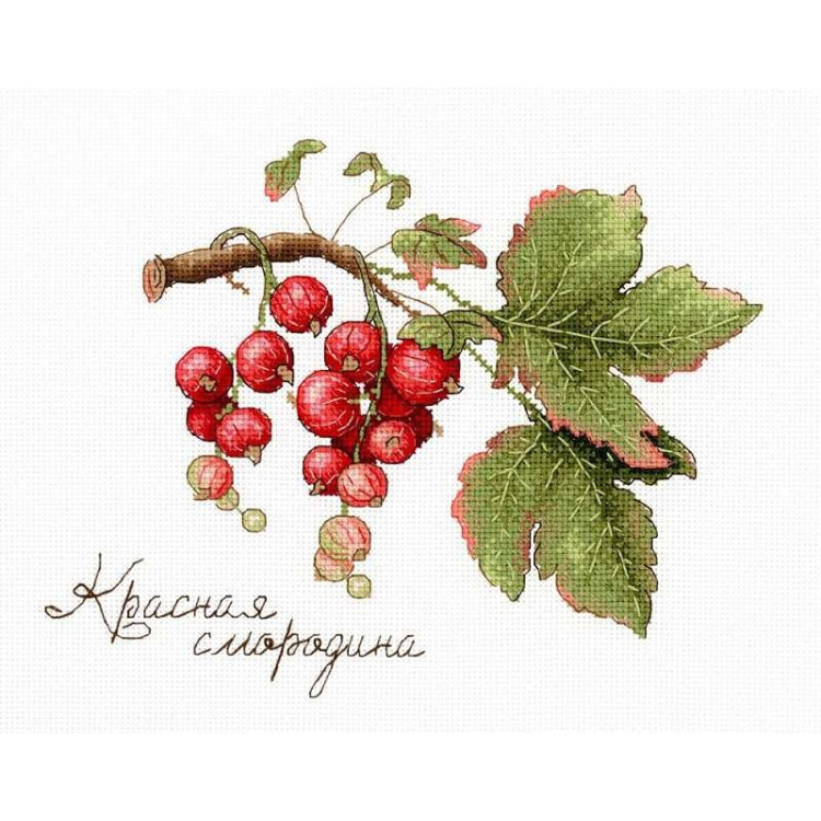 Gifts of Nature.  Red Currant SNV-695