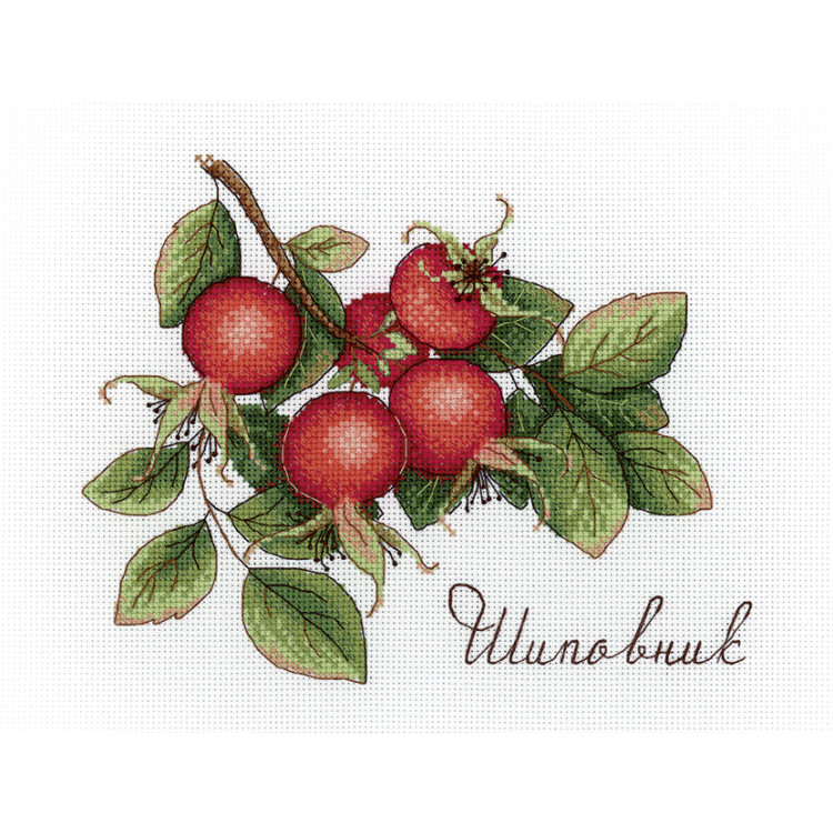 Шиповник SNV-630