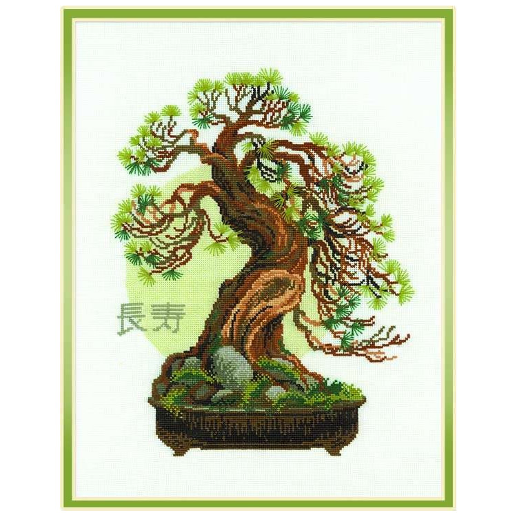 Bonsai Pine Wish of Longevity 1037