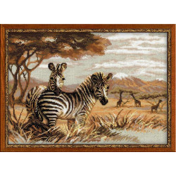 Zebras in der Savanne 1143