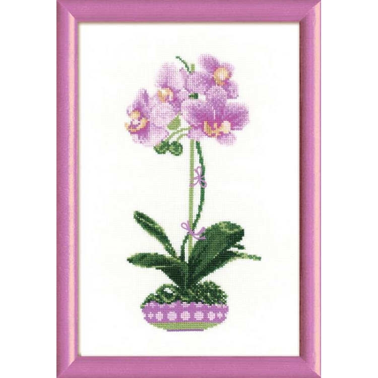 Сиреневая орхидея 1163