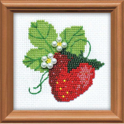 Garden Strawberry 1165