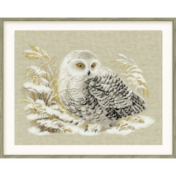 White Owl 1241
