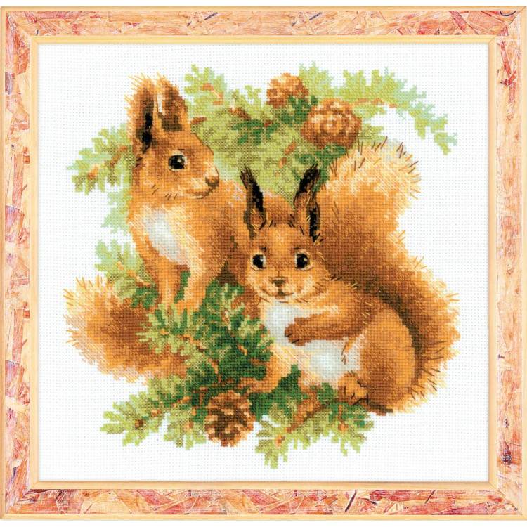 Squirrels 1491
