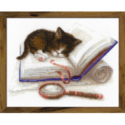 Kitten on the Book SR1725