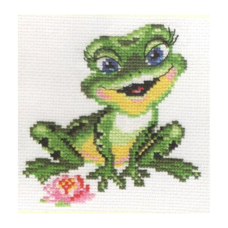 Beautiful Frog S0-57