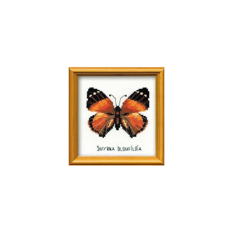Nymphalidae-Schmetterling HB094