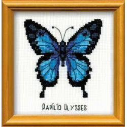 Ulysses-Schmetterling HB095