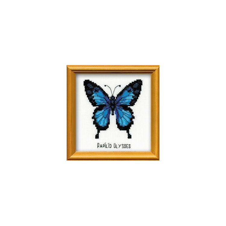 Ulysses-Schmetterling HB095