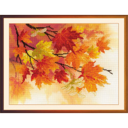 Autumn Colors 0054 PT