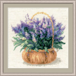 French Lavender 1404