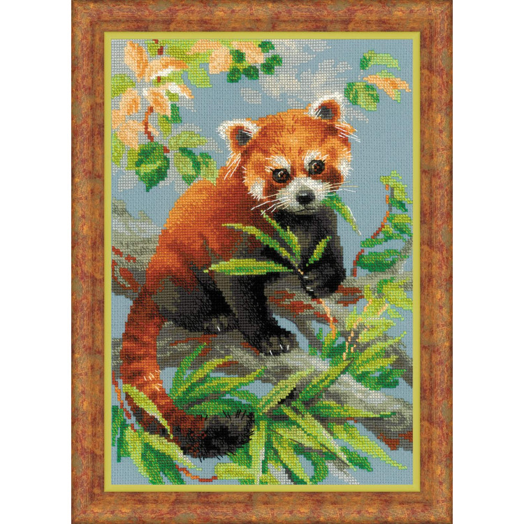 Красная панда 1627