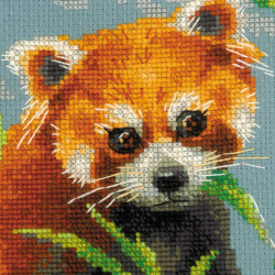 Roter Panda 1627