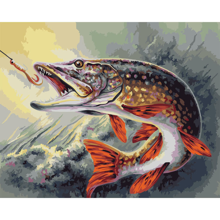Раскраска Щуки | Раскраски пресноводные рыбы. Раскраска рыбы - речных и озерных
