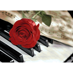 Роза Музыкальная 38*27 см WD053