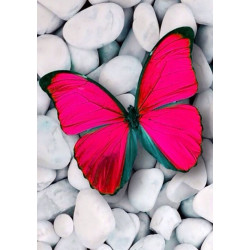 Розовая бабочка 20*30 см WD054
