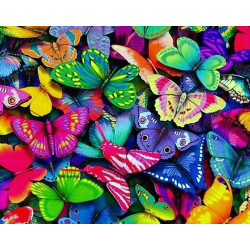 Радужные бабочки 48*38 см WD057