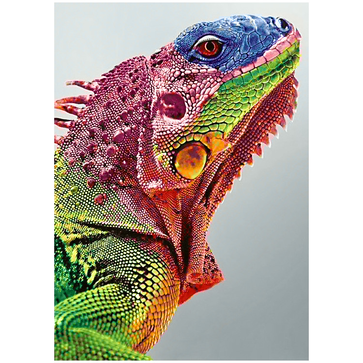 Iguana 27*38 cm WD065 (D)