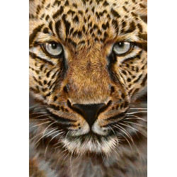 Cheetah 20 х 30 cm WD069