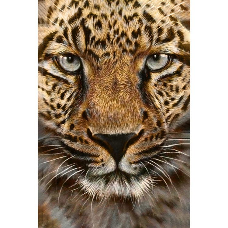 Cheetah 20 х 30 cm WD069