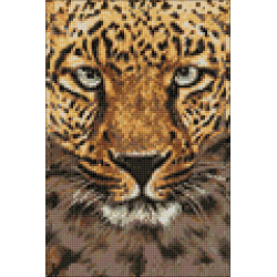 Gepard 20 х 30 cm WD069