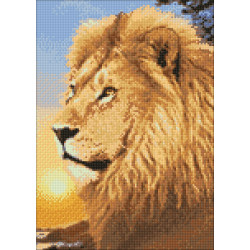 (D) Lion King 27*38 cm WD070