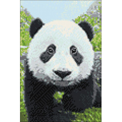 Curious Panda 20*30 cm WD074