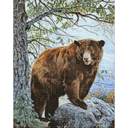(D) Brown Bear 38*48 cm WD083