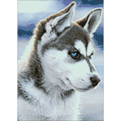 Снежная собака 27*38 см WD088