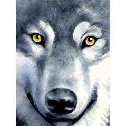 Wolf Look 15*20 cm WD2361