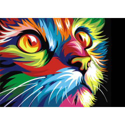 Rainbow Cat 38 x 27 cm WD200