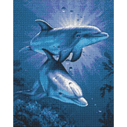 Delfinų pasimatymas 38 x 48 cm WD222