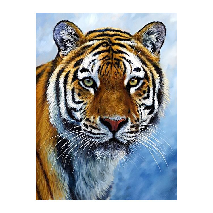 Tigras 30 x 40 cm WD309