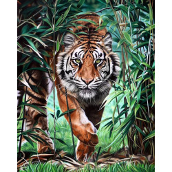 (D) Dangerous Tiger 40 х 50 cm WD310