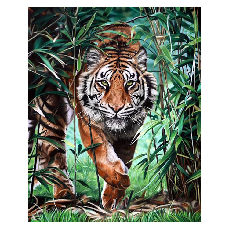 Pavojingas tigras 40 x 50 cm WD310