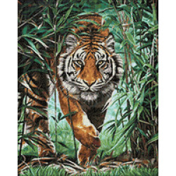 Опасный тигр 40 х 50 см WD310