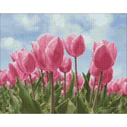 (Sale) Sky and Tulips 48*38 cm WD2301