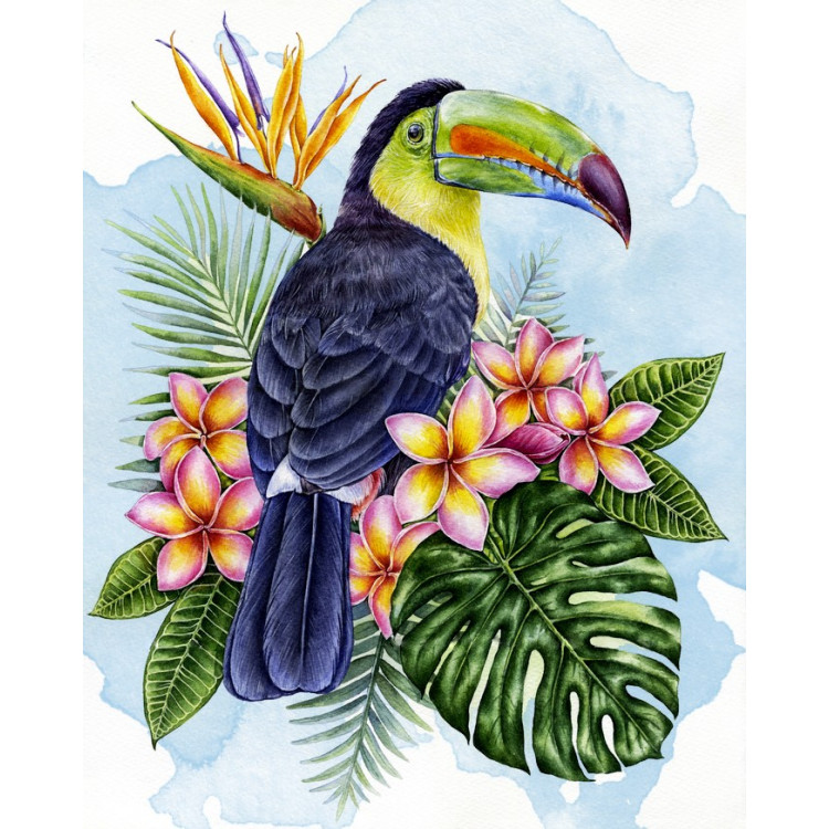 (Discontinued C) Toucan in the flowers 40*50 cm WD2580