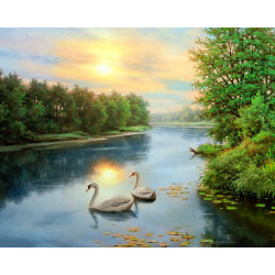 Swans at dawn  50*40 cm WD2607