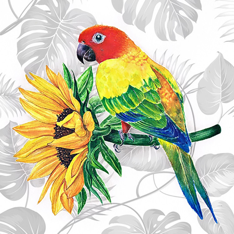 (Discontinued C) A bright parrot 40*40 cm WD2687