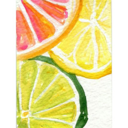 (D) Citrus Fresh 15*20 cm WD281